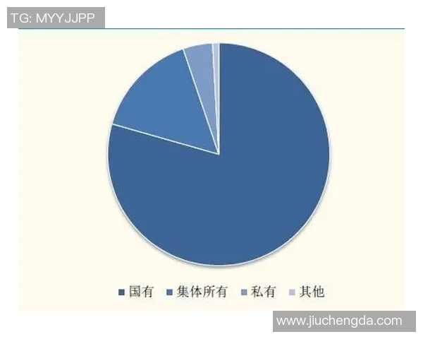 西安足球队运营模式解析与发展前景探讨 西安足球队运营模式解析与发展前景探讨